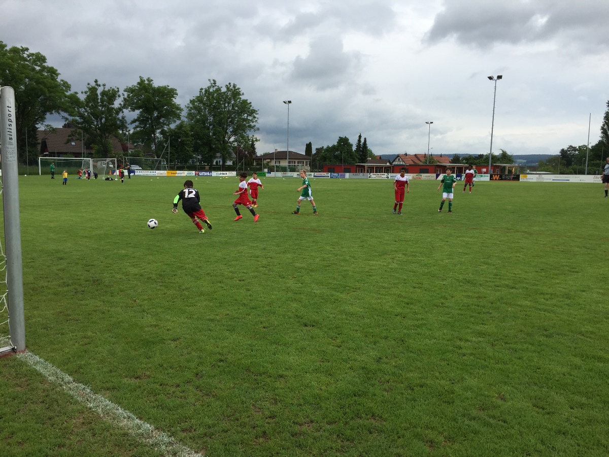 Junioren Eb - FC Glattbrugg